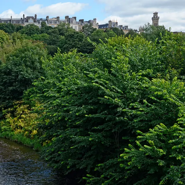 Glasgow 2012 — photograph 206 of 228