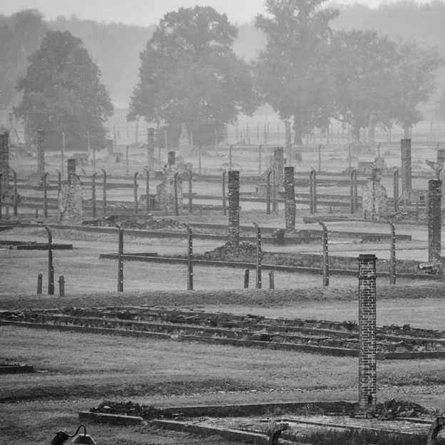 Auschwitz 2012 — photograph 21 of 27