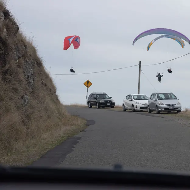 23.5.2020 Godley Head — photograph 49 of 54