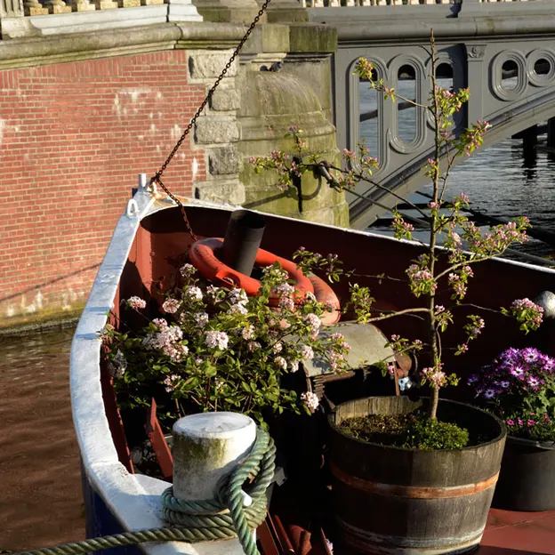Amsterdam 2012 — photograph 71 of 112