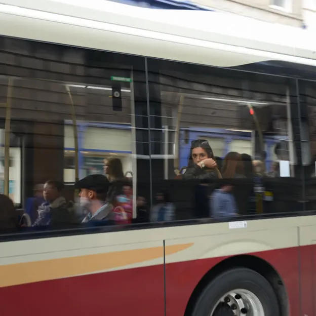 On The Buses — photograph 15 of 22