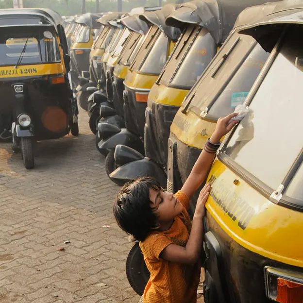 Incredible India 2010 — photograph 234 of 289