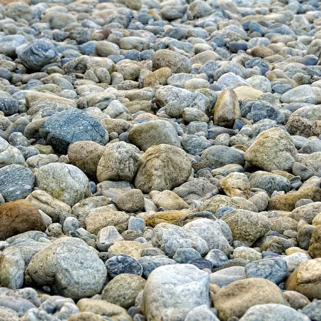 NZ Natural Abstracts — photograph 15 of 18