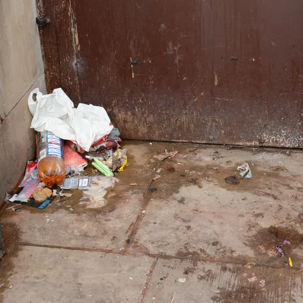 Rubbish — photograph 21 of 24