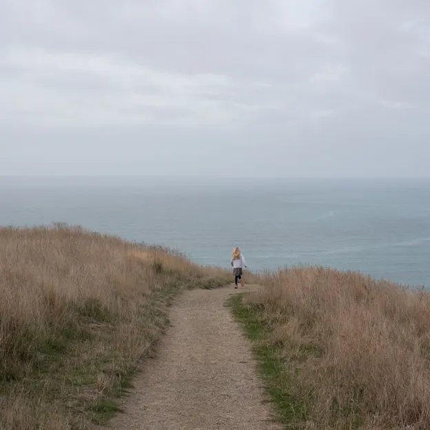 23.5.2020 Godley Head — photograph 16 of 54