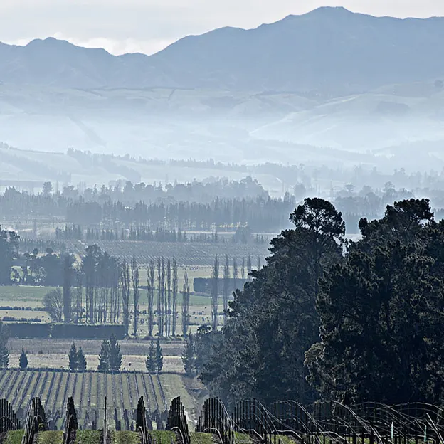 Canterbury, New Zealand — photograph 10 of 40