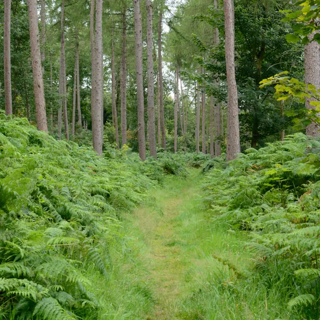Edinburgh's Beautiful Countryside — photograph 21 of 34