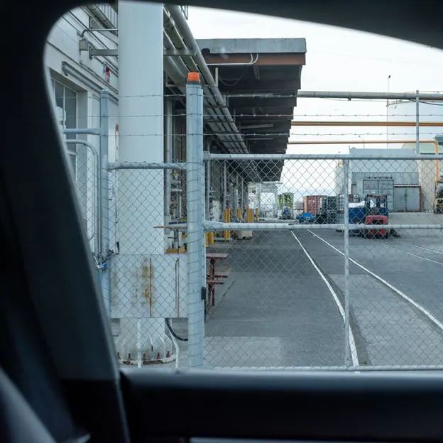 2.10.2020 Trip To Timaru (part 2) — photograph 116 of 183