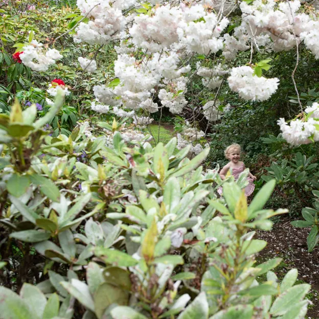 Little River Open Garden Day 27.10.2019 — photograph 49 of 113
