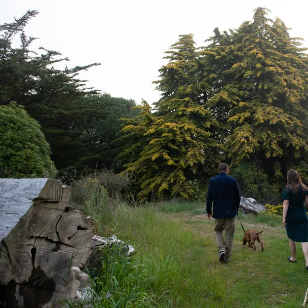 26.11.2020 Petra Michael and Byorn — photograph 70 of 120