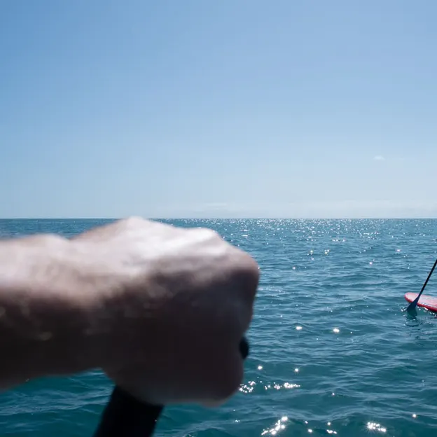 10.2.2020 SUPing From Sumner To Taylors  — photograph 12 of 17