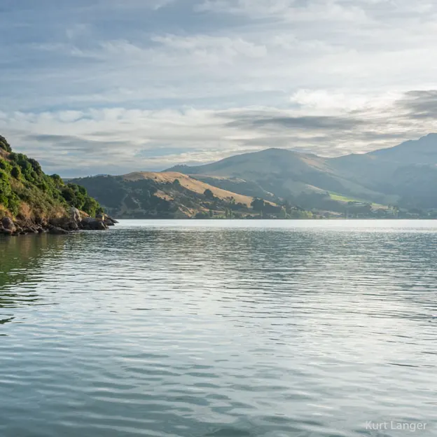 27.1.2020 Little River & Onawe Peninsula — photograph 16 of 32