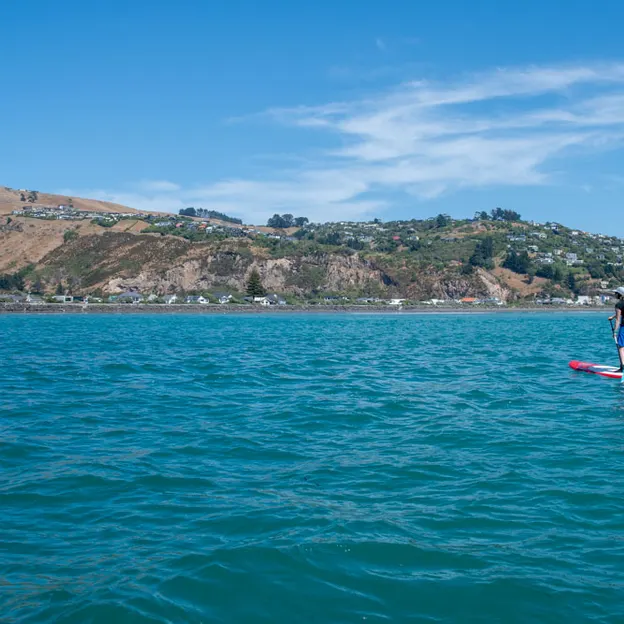10.2.2020 SUPing From Sumner To Taylors  — photograph 16 of 17