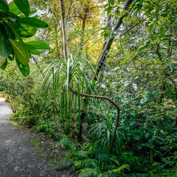 The NZ Garden At The Christchurch Botanical Gardens — photograph 19 of 52