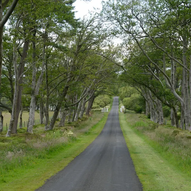 Edinburgh's Beautiful Countryside — photograph 18 of 34
