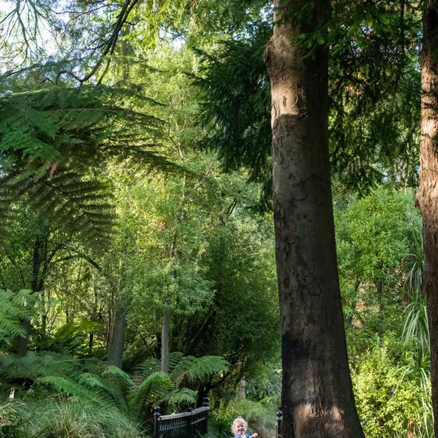 10.5.2020 Riccarton Bush & Millbrook  — photograph 17 of 31