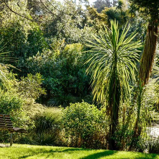 The NZ Garden At The Christchurch Botanical Gardens — photograph 20 of 52