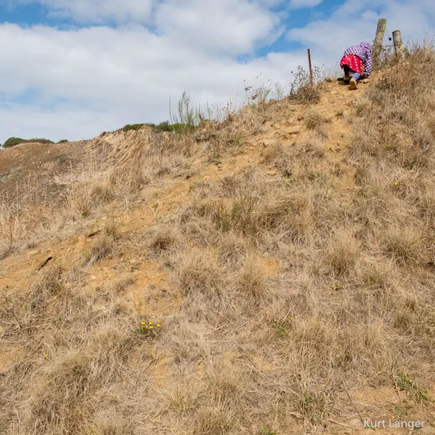 14.4.2020 Halswell Quarry Park — photograph 14 of 46