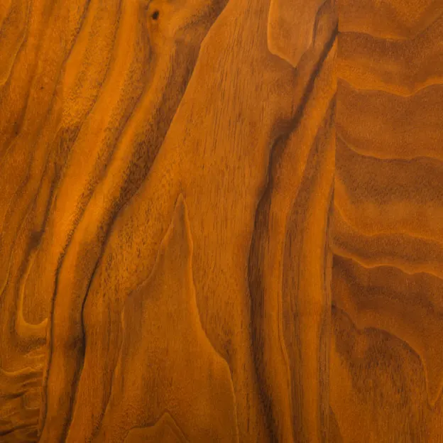 Adam Webb's Amazing Chair — photograph 36 of 37
