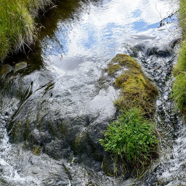 Natural Abstracts — photograph 11 of 16