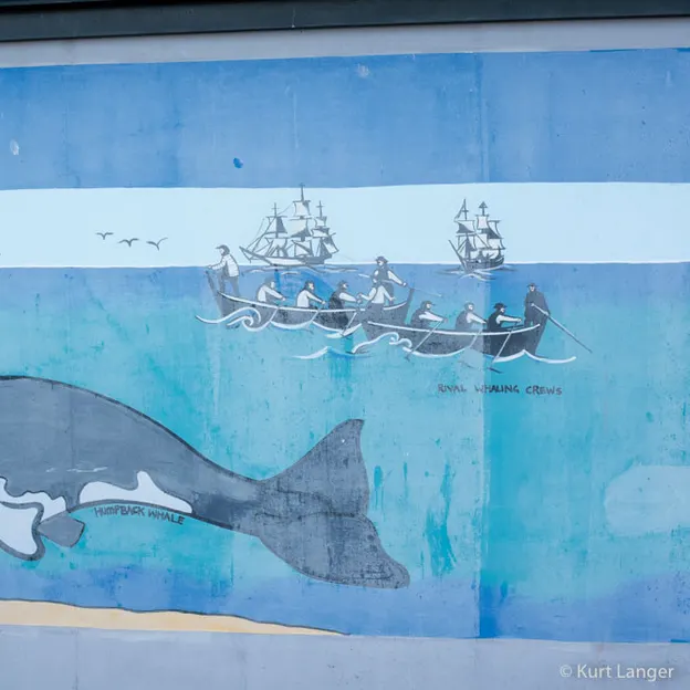 2.10.2020 Trip To Timaru (part 2) — photograph 147 of 183