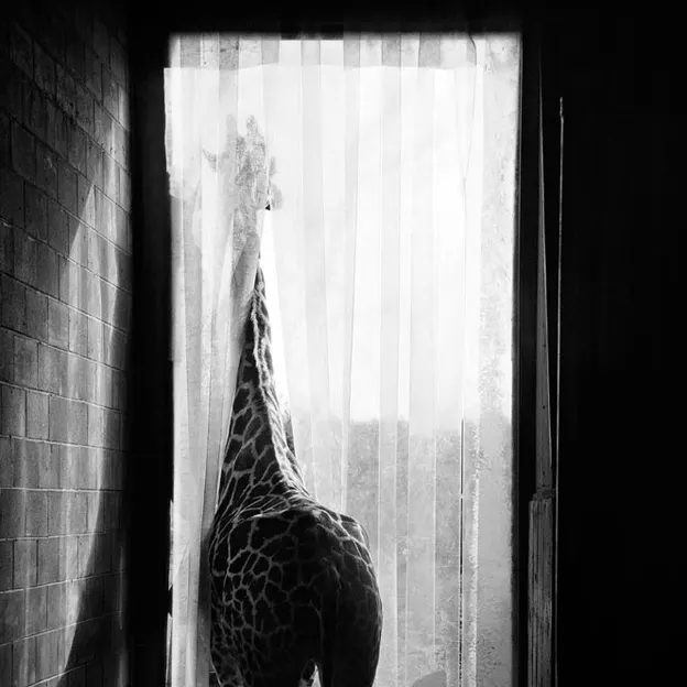 Animals — photograph 31 of 83