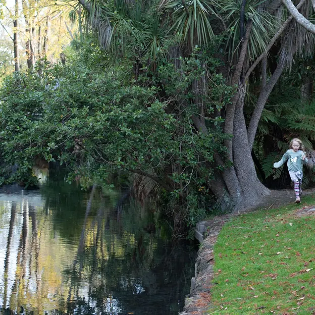 10.5.2020 Riccarton Bush & Millbrook  — photograph 23 of 31