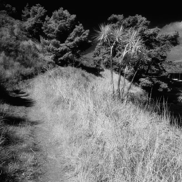 NZ Scenery — photograph 36 of 76