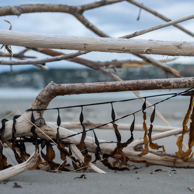 27.4.2020 Southshore Spit — photograph 16 of 26
