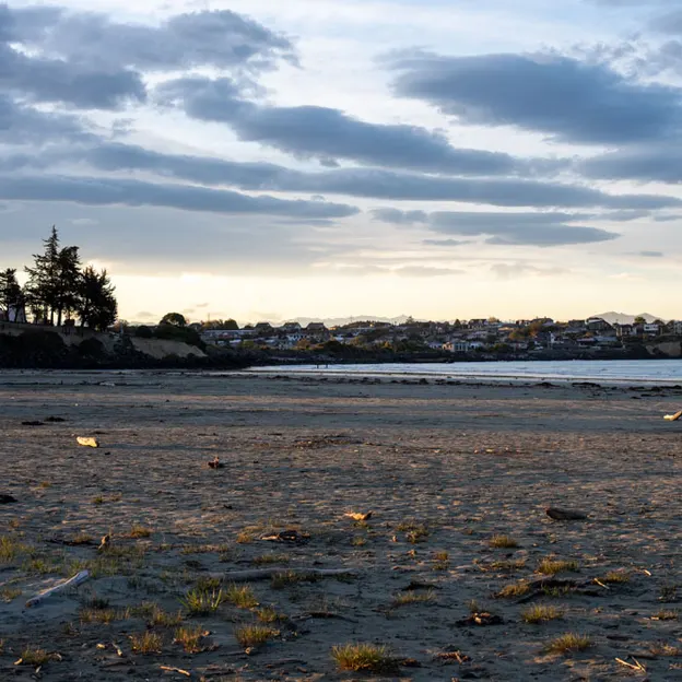2.10.2020 Trip To Timaru (part 1)  — photograph 125 of 141