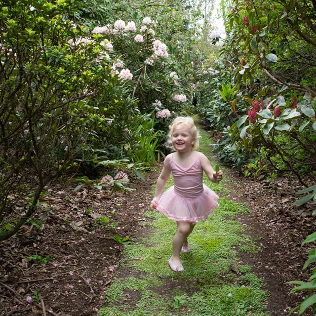 Little River Open Garden Day 27.10.2019 — photograph 51 of 113