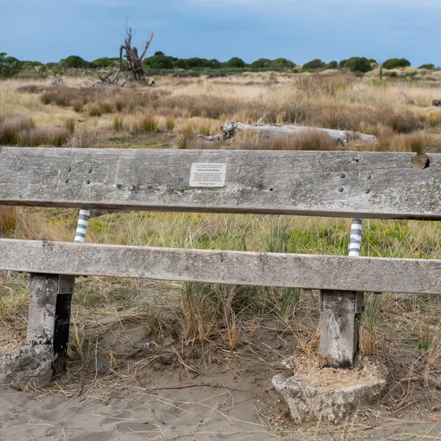 27.4.2020 Southshore Spit — photograph 11 of 26
