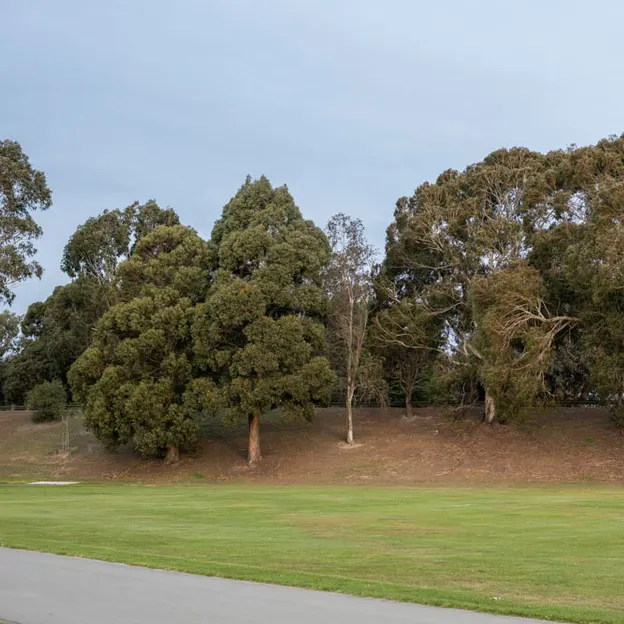 2.10.2020 Trip To Timaru (part 2) — photograph 172 of 183