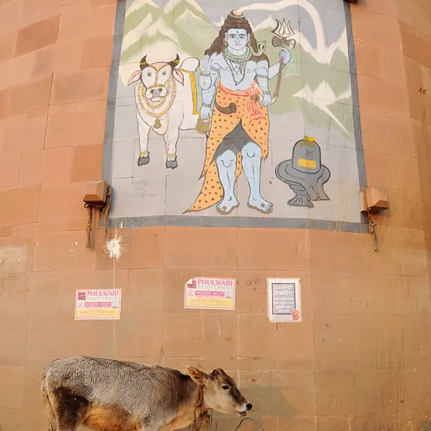 Incredible India 2010 — photograph 205 of 289