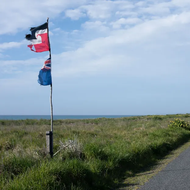 24.10.2020 Kaikoura With Family — photograph 63 of 64