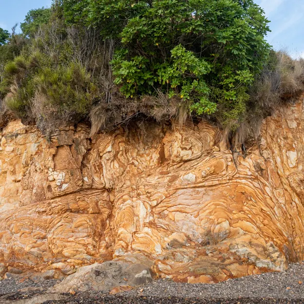 27.1.2020 Little River & Onawe Peninsula — photograph 21 of 32
