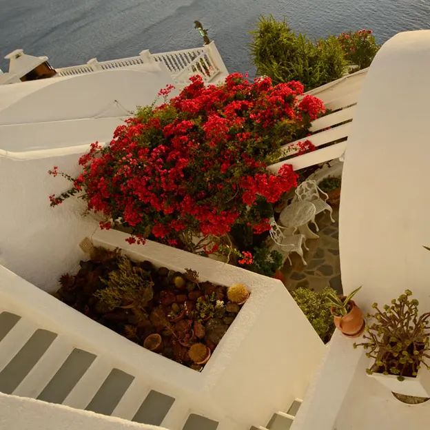 Santorini — photograph 13 of 30