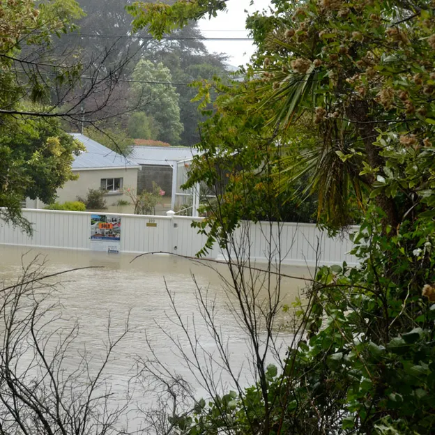The Big Rainfall — photograph 9 of 50