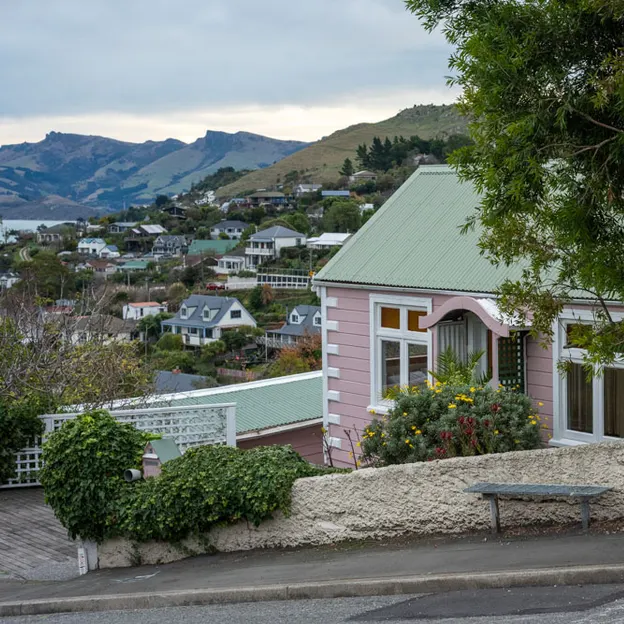 11.6.2020 Lyttelton Walkabouts — photograph 40 of 73