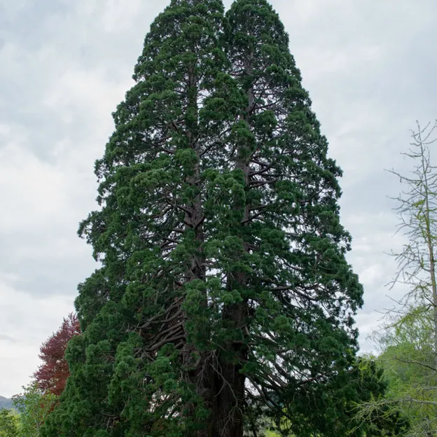 Little River Open Garden Day 27.10.2019 — photograph 64 of 113