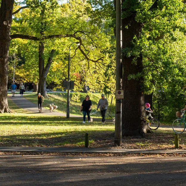 25.4.2020 North Hagley Park — photograph 19 of 38