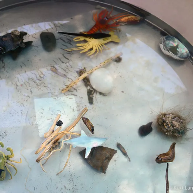 Beckenham Kindy - The Arty Shots (2018) — photograph 34 of 50