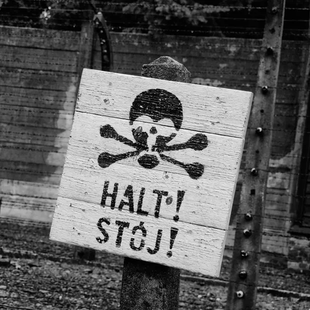 Auschwitz 2012 — photograph 27 of 27
