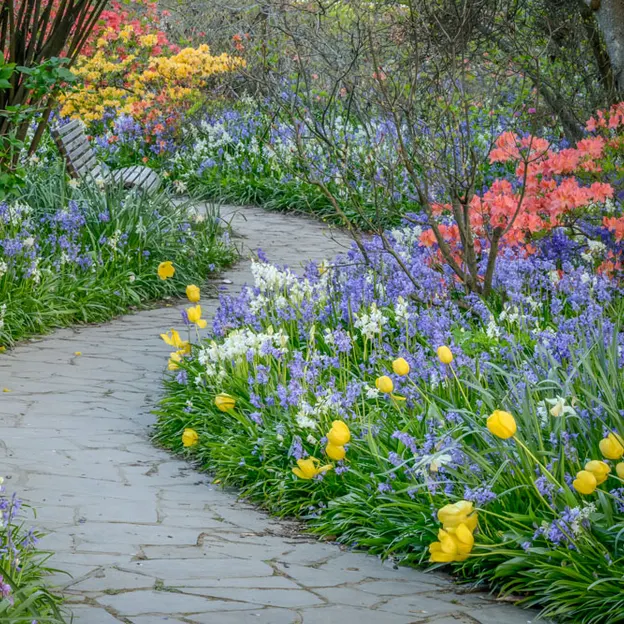 Springtime At The Christchurch Botanical Gardens — photograph 26 of 86