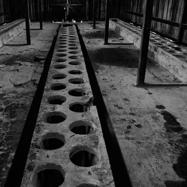 Auschwitz 2012 — photograph 16 of 27