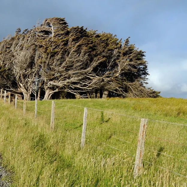 NZ Scenery — photograph 33 of 76