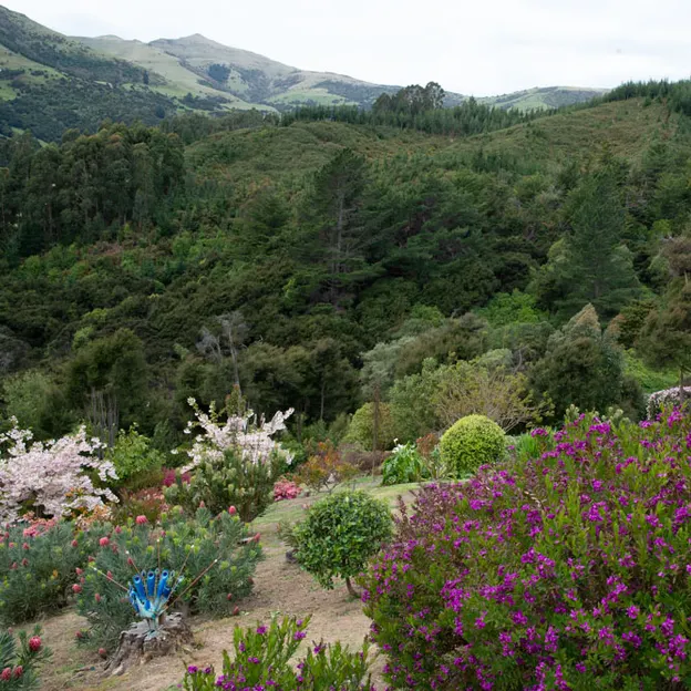 Little River Open Garden Day 27.10.2019 — photograph 112 of 113