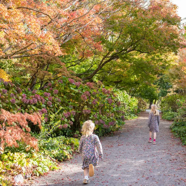 1.5.2020 At The Botanics — photograph 14 of 30