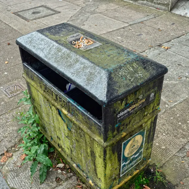 Glasgow 2012 — photograph 225 of 228