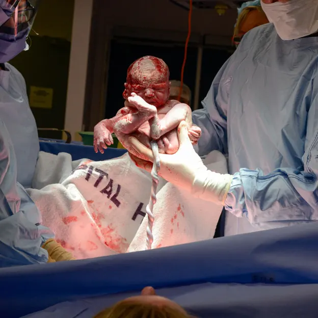 The Birth Of Heidi 15.6.2016 — photograph 9 of 24